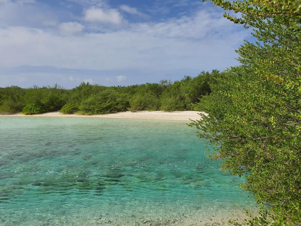 Отель Orimas Retreat Тулусду Экстерьер фото